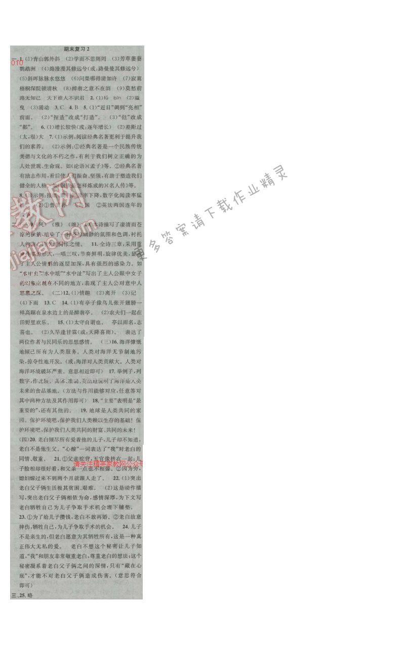 提优训练非常阶段123九年级语文上册江苏版 期末复习2