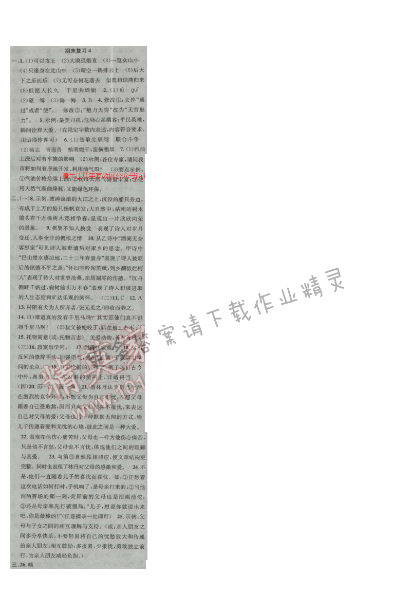 提优训练非常阶段123九年级语文上册江苏版 期末复习4