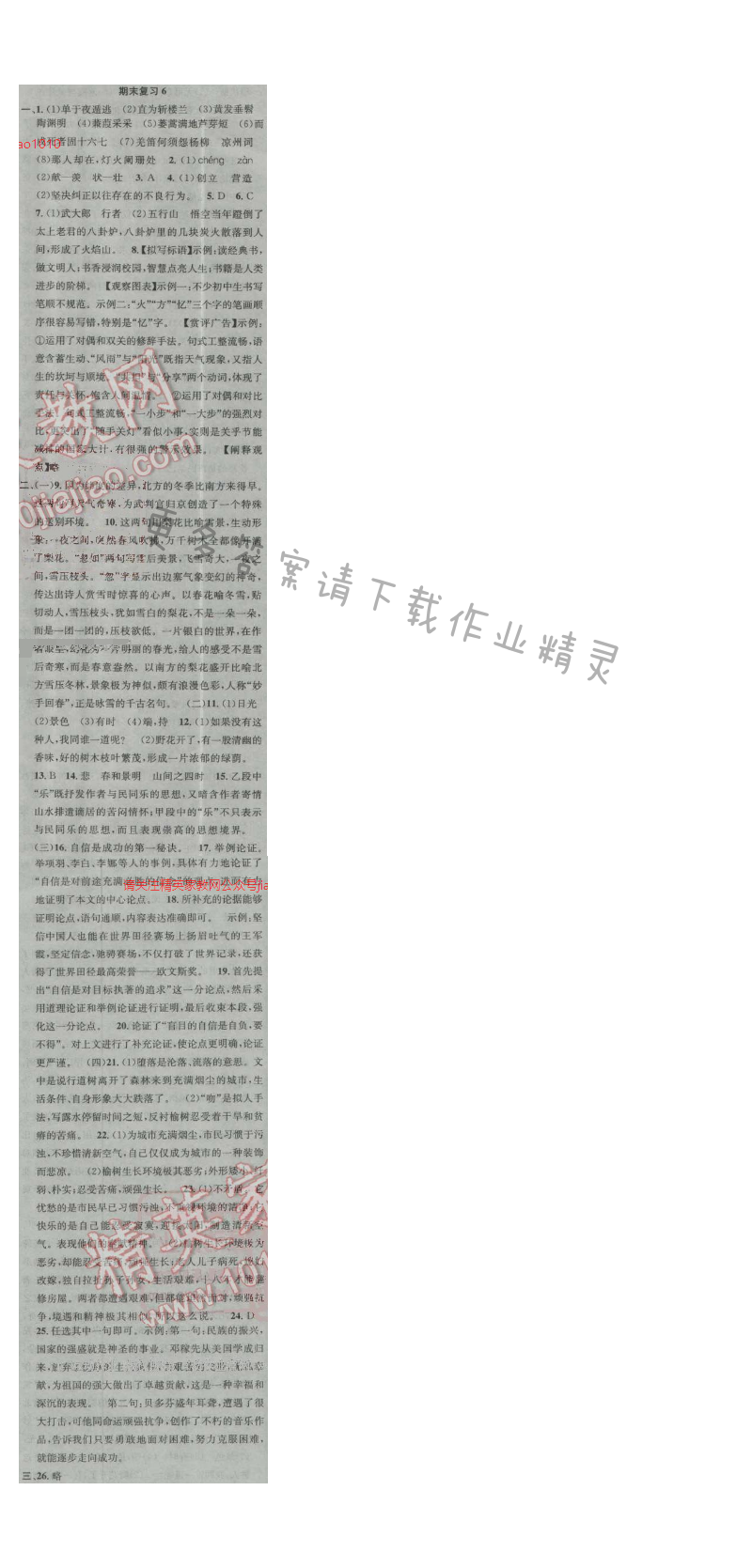 提优训练非常阶段123九年级语文上册江苏版 期末复习6
