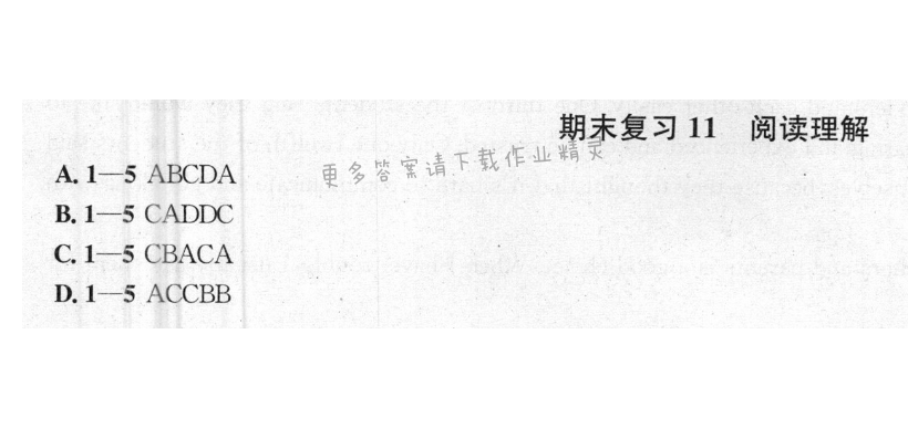 提优训练非常阶段123九年级英语上册江苏版 期末复习11