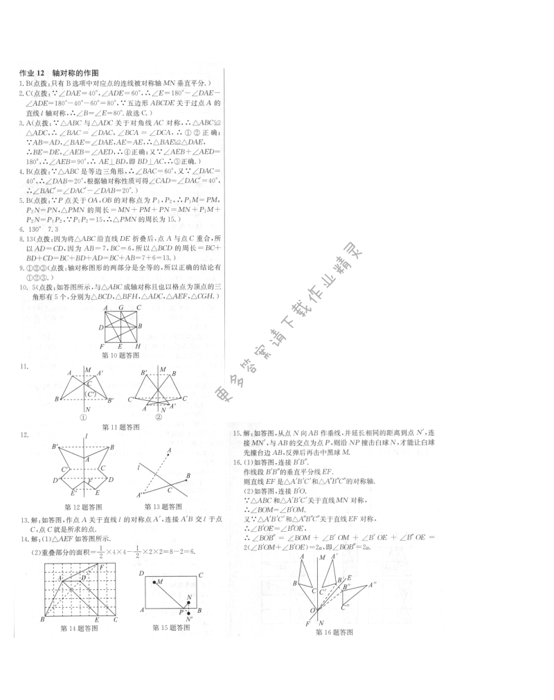 启东中学作业本八年级数学上册江苏版 作业12