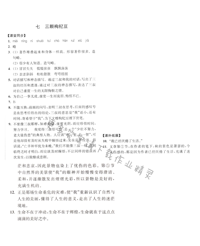 七年级语文下册同步练习答案（2017新版）三颗枸杞豆同步练习答案