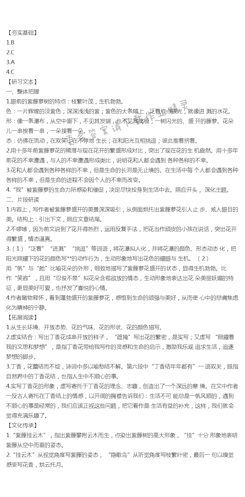 人教版七年级下册语文补充习题紫藤萝瀑布