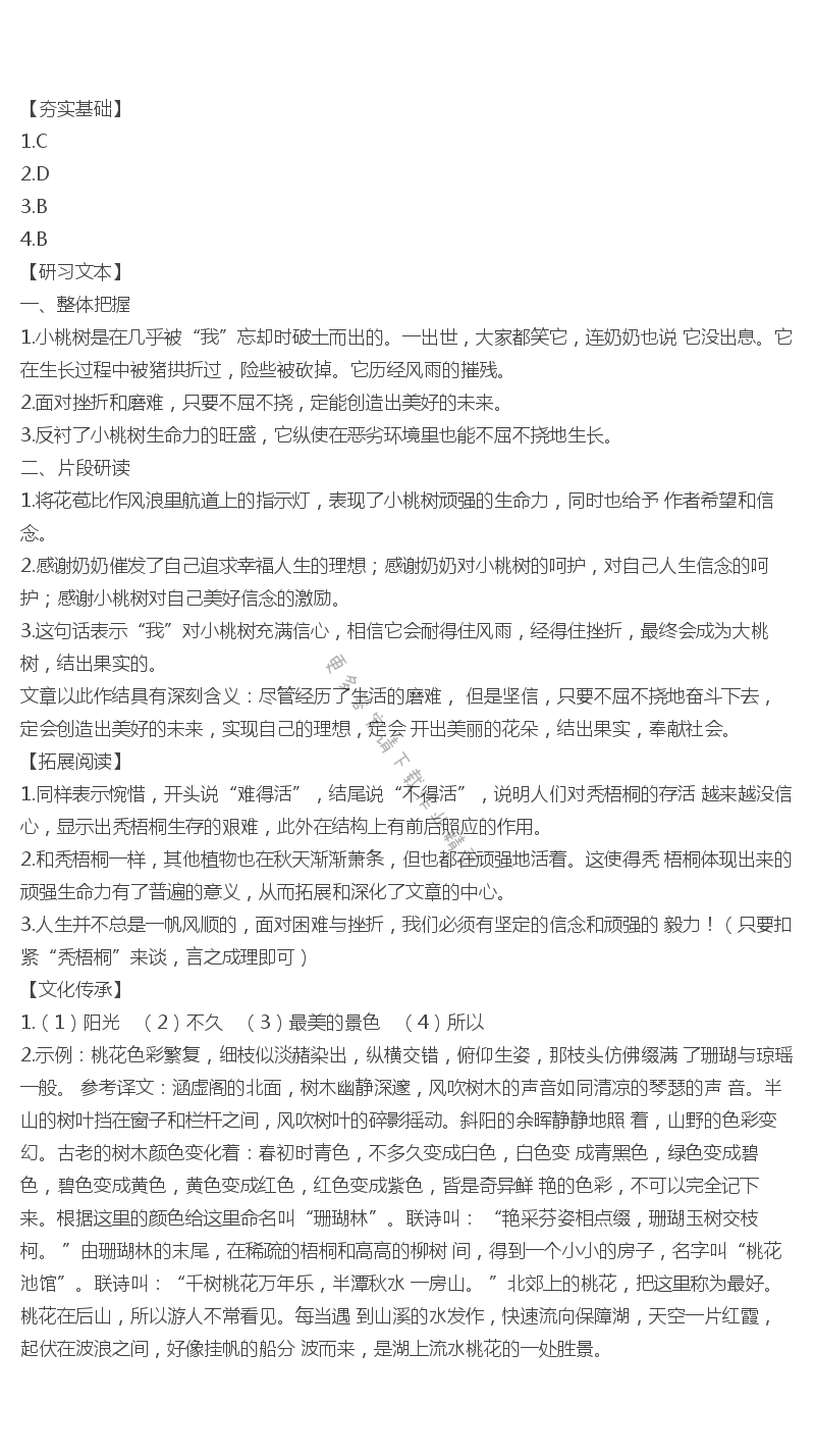 人教版七年级下册语文补充习题一颗小桃树