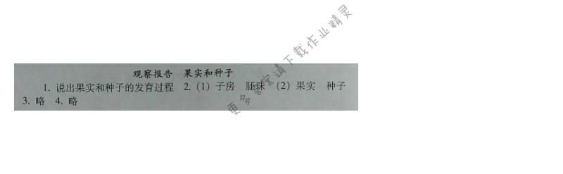 苏教版生物八年级下册补充习题 第21章观察报告 果实和种子