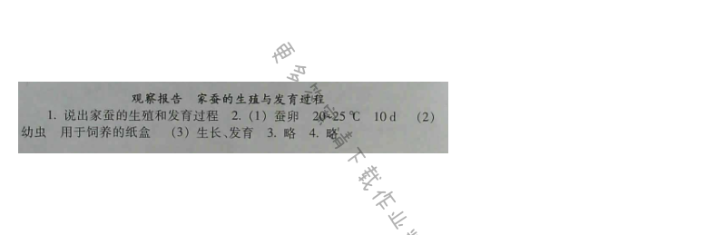 苏教版生物八年级下册补充习题 第21章观察报告 家蚕的生殖与发育过程