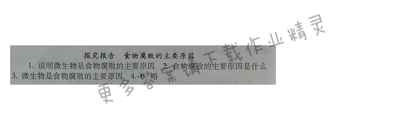 苏教版生物八年级下册补充习题 第23章探究报告 食物腐 败的主要原因