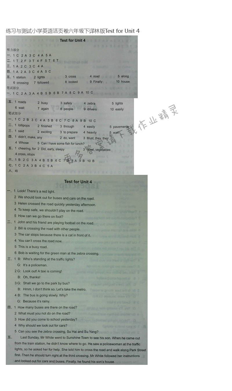 练习与测试小学英语活页卷六年级下译林版Test for Unit 4