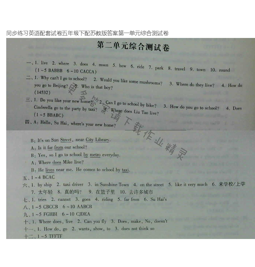 同步练习英语配套试卷五年级下配苏教版答案第二单元综合测试卷
