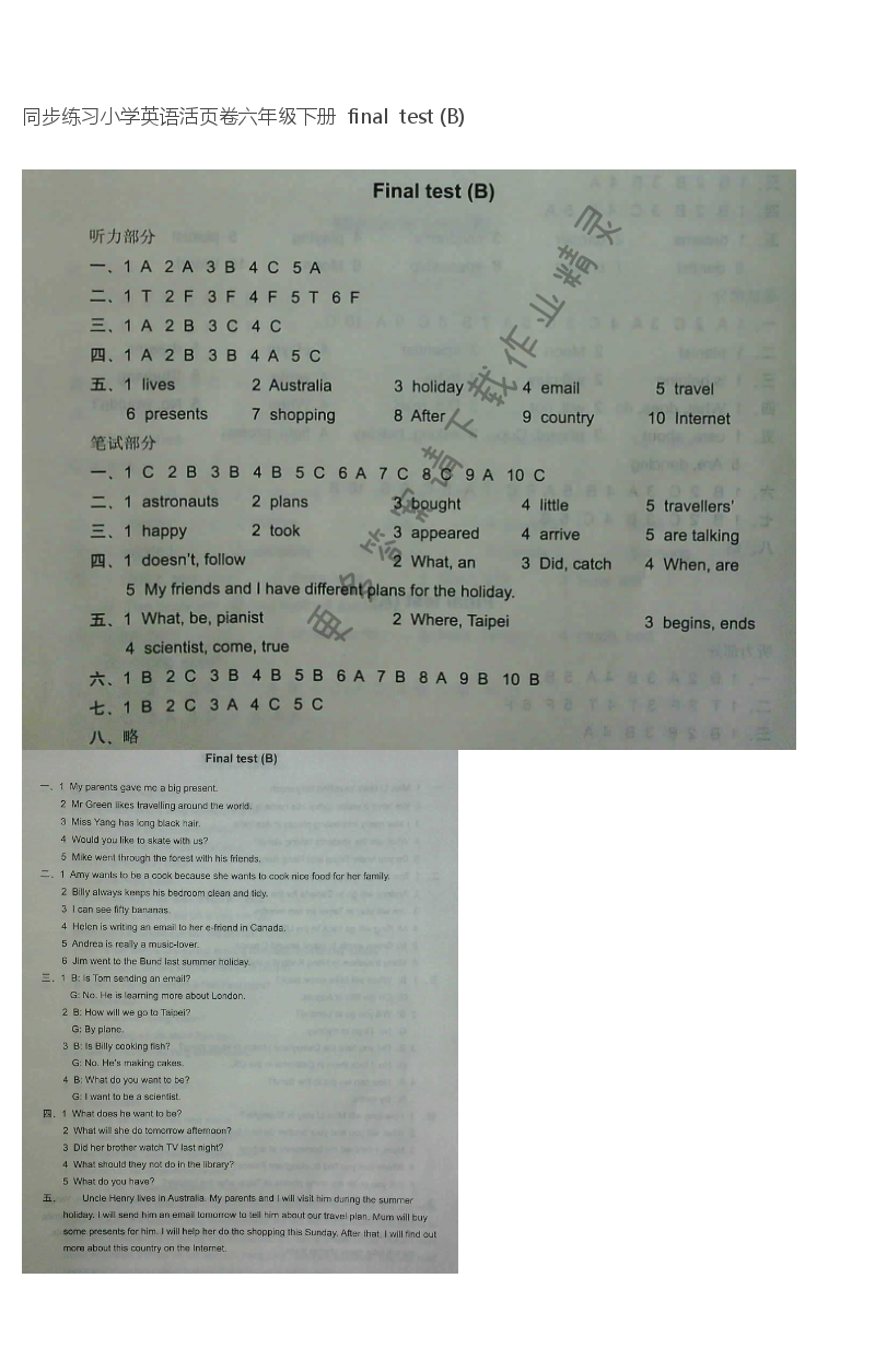 同步练习小学英语活页卷六年级下册配译林版  final  test (B)