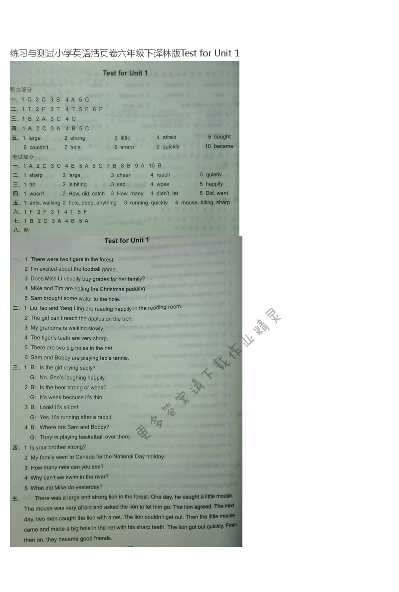 练习与测试小学英语活页卷六年级下译林版Test for Unit 1
