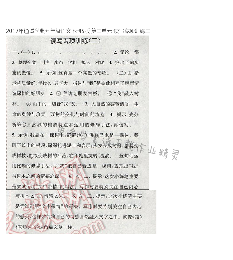 2017年通城学典五年级语文下册S版 第二单元 读写专项训练二