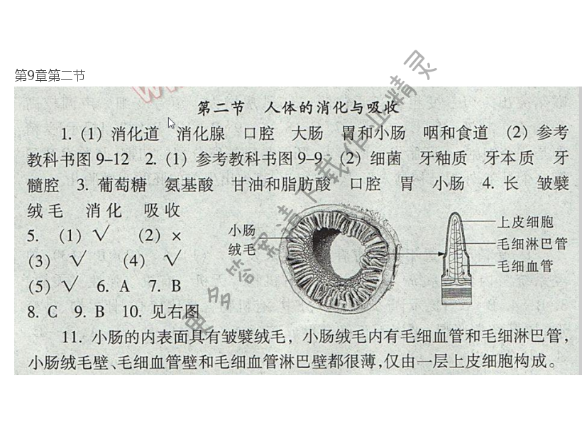 七下 苏教版生物第9章第二节补充习题答案