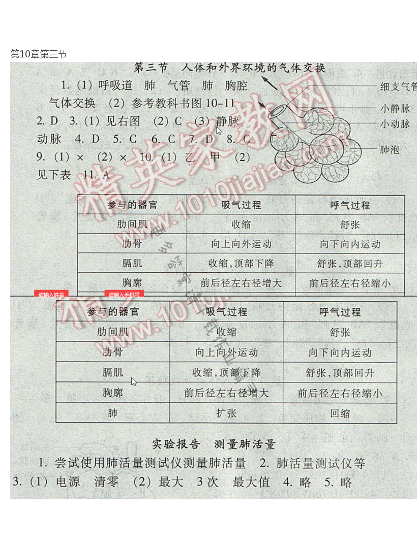 七下 苏教版生物第10章第三节补充习题答案