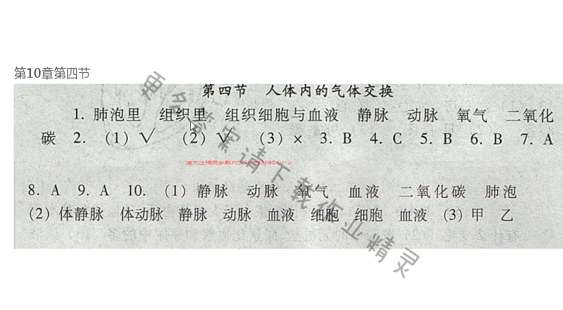 七下 苏教版生物第10章第四节补充习题答案