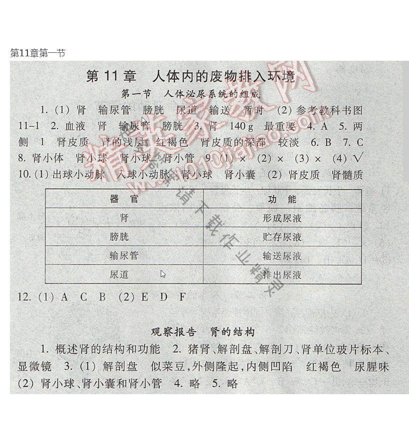 七下 苏教版生物第11章第一节补充习题答案