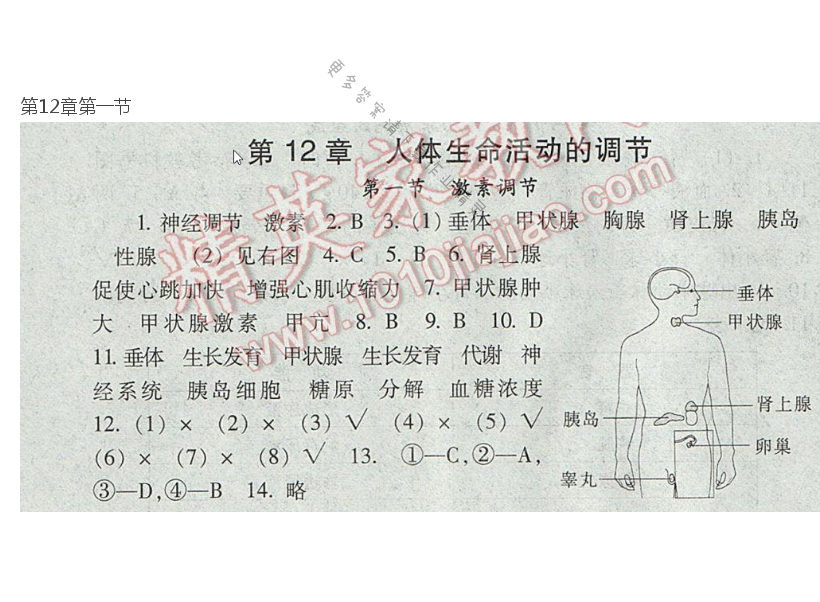 七下 苏教版生物第12章第一节补充习题答案