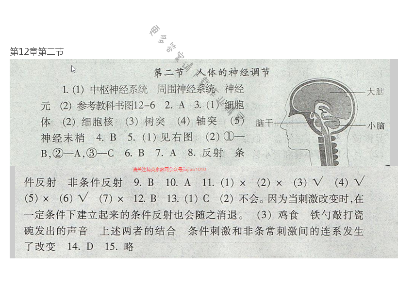 七下 苏教版生物第12章第二节补充习题答案