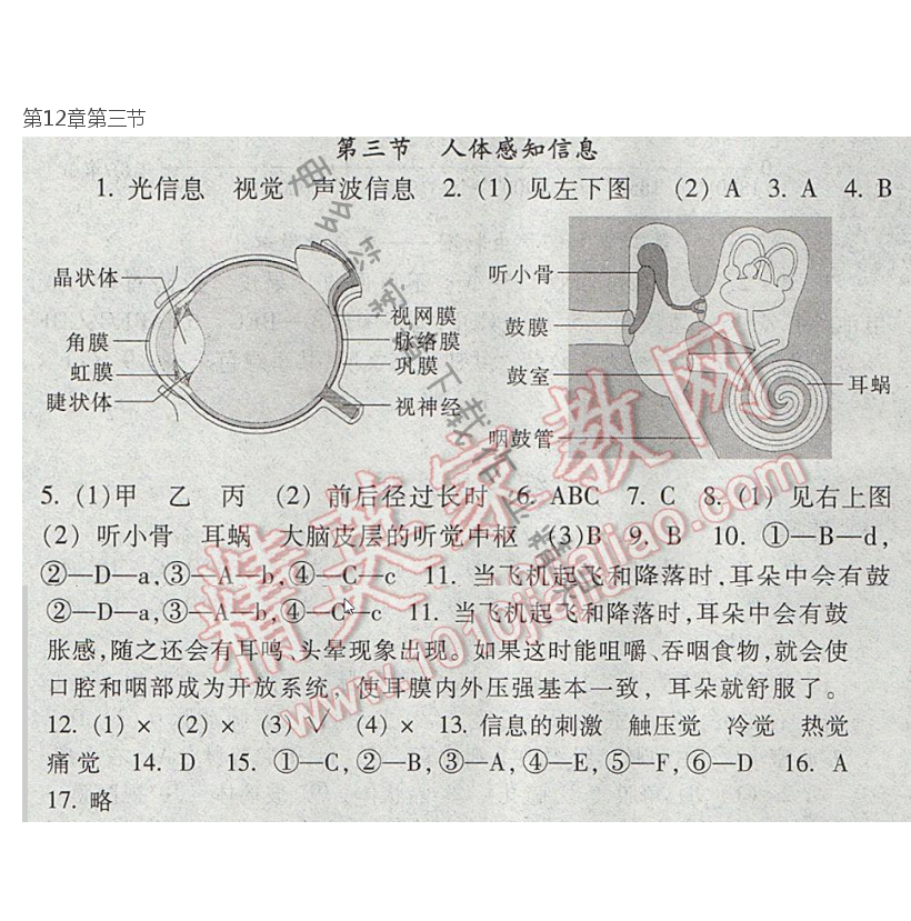 七下 苏教版生物第12章第三节补充习题答案