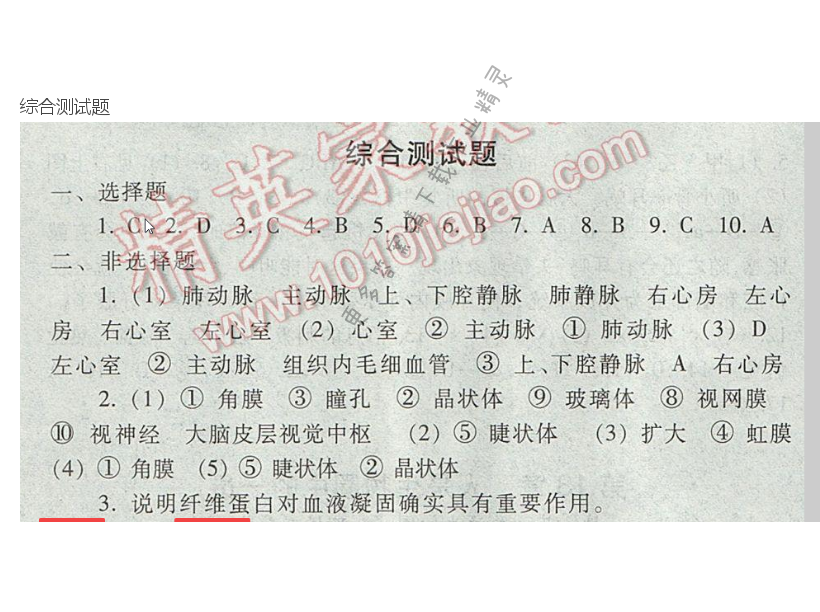 七下 苏教版生物 综合测试题