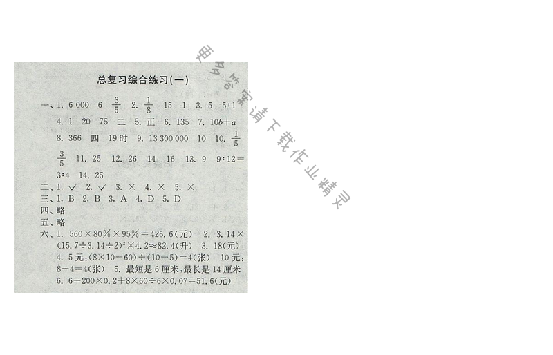 2017年新编金3练六年级数学下册江苏版总复习综合练习（一）