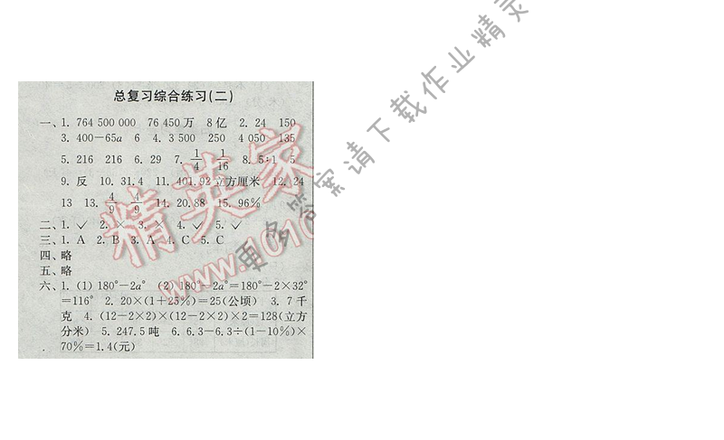 2017年新编金3练六年级数学下册江苏版总复习综合练习（二）