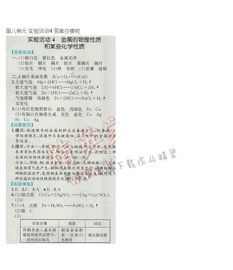 第八单元 实验活动4