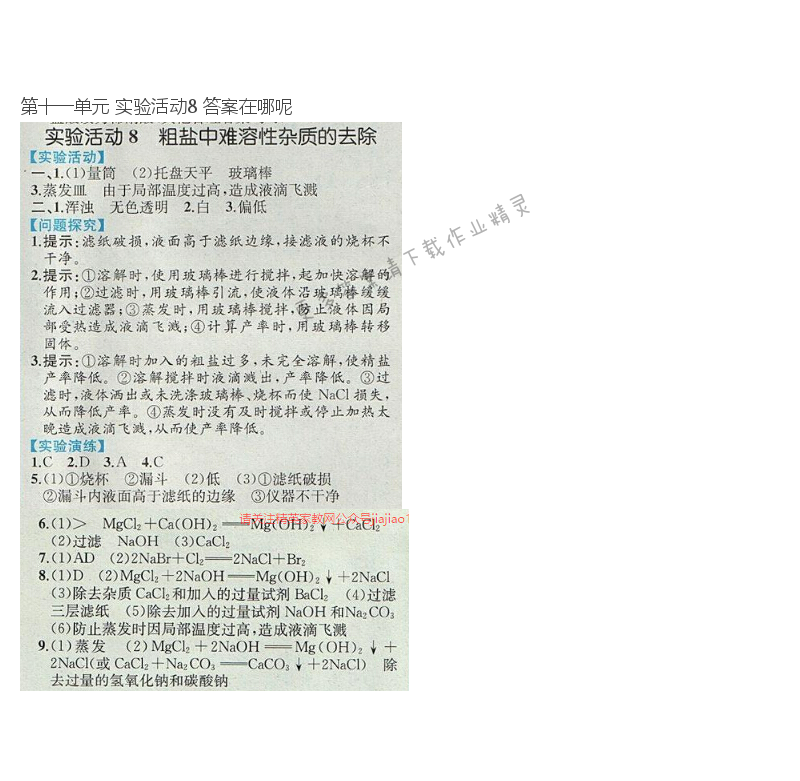 第十一单元 实验活动8