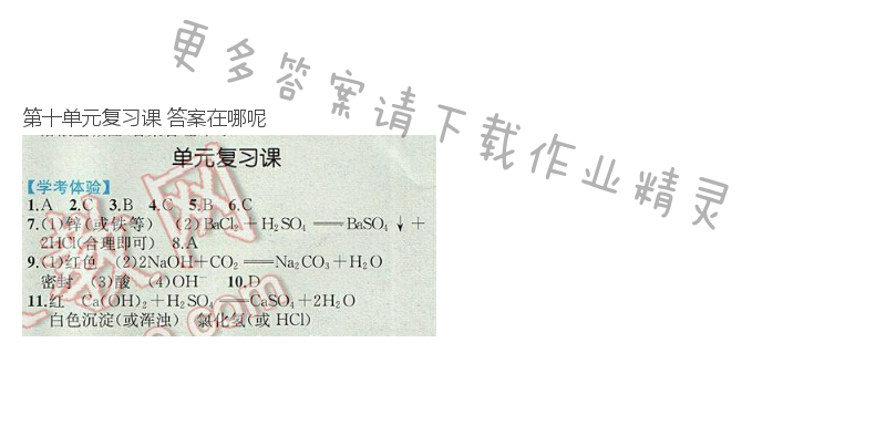 第十单元复习课