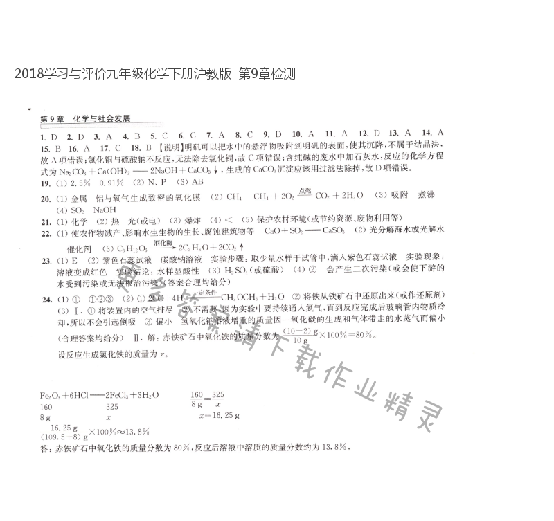 2018学习与评价九年级化学下册沪教版  第9章检测