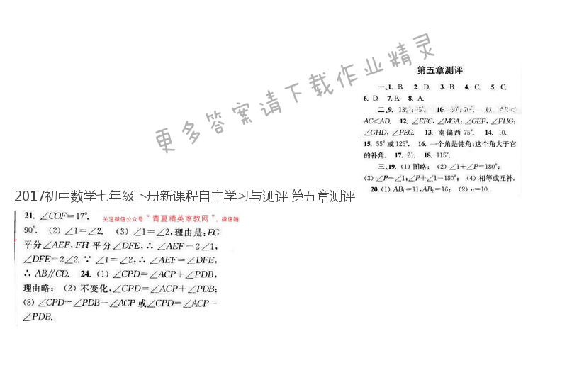 2017初中数学七年级下册新课程自主学习与测评 第五章测评
