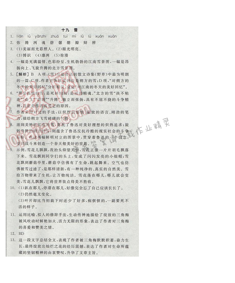 2017全品学练考九年级语文下册苏教版十九 雪