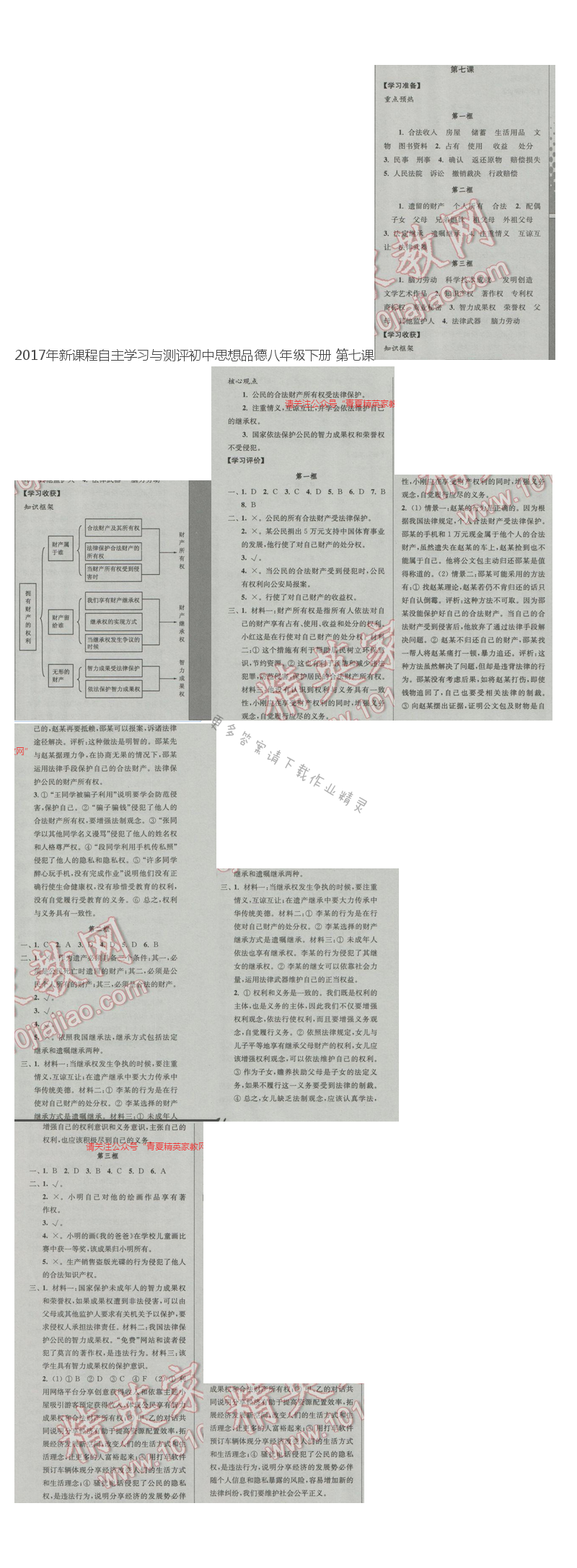 2017年新课程自主学习与测评初中思想品德八年级下册 第七课