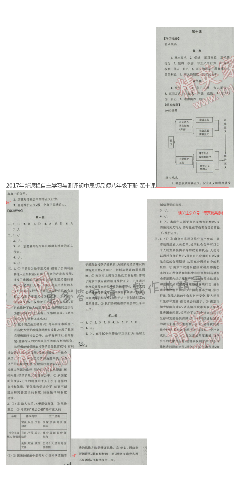 2017年新课程自主学习与测评初中思想品德八年级下册 第十课