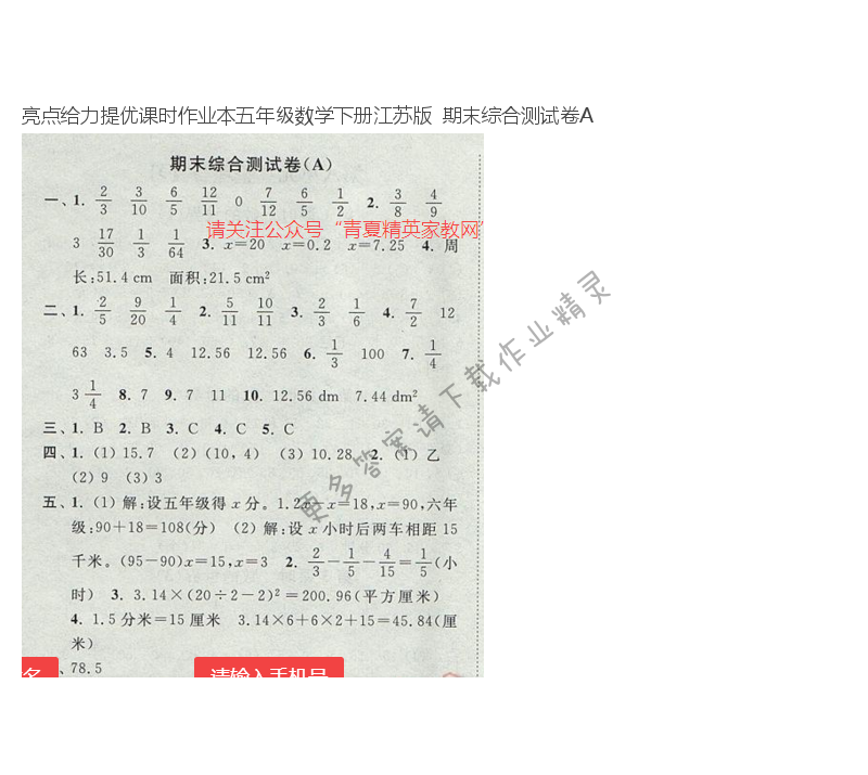 亮点给力提优课时作业本五年级数学下册江苏版  期末综合测试卷A