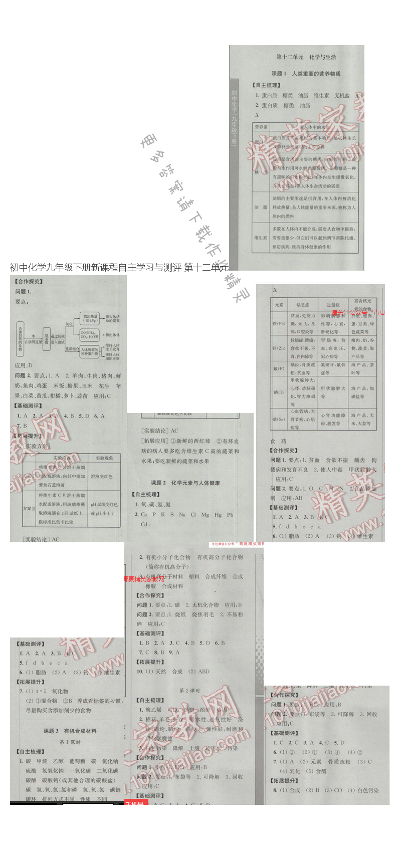 初中化学九年级下册新课程自主学习与测评 第十二单元