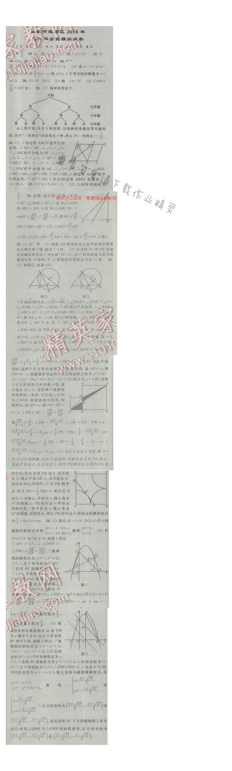 亮点给力九年级数学江苏版盐城市盐都区