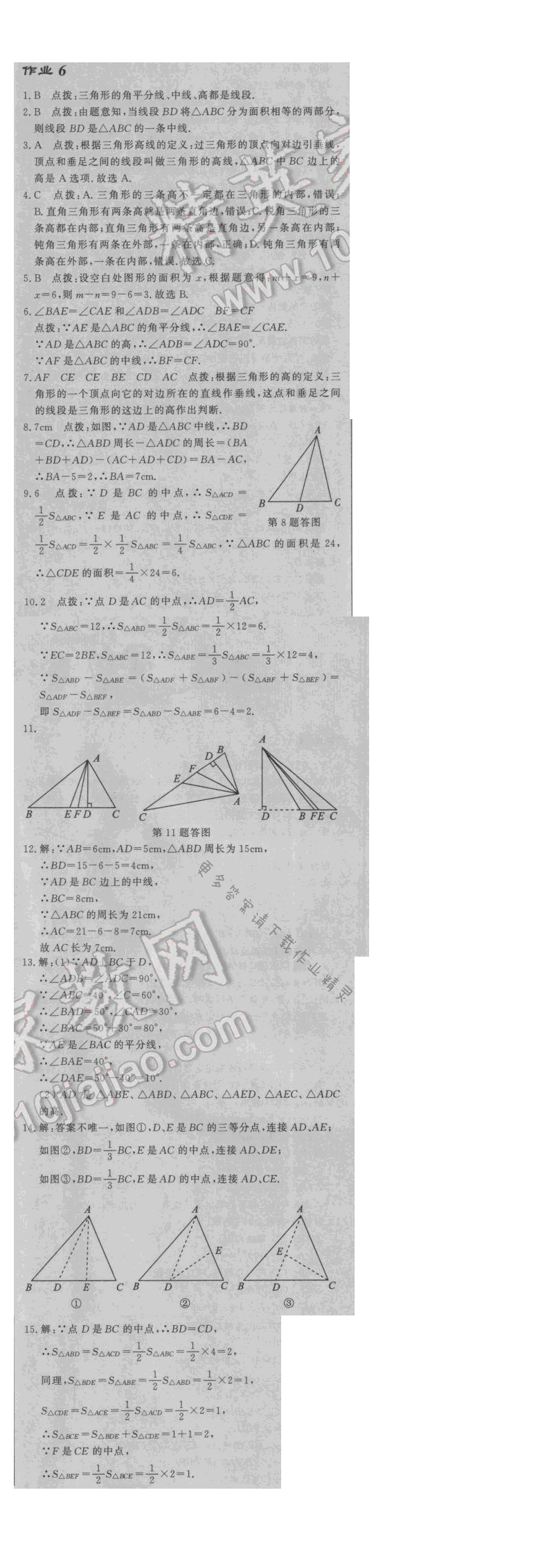 2017启东中学作业本七年级数学江苏版作业6答案