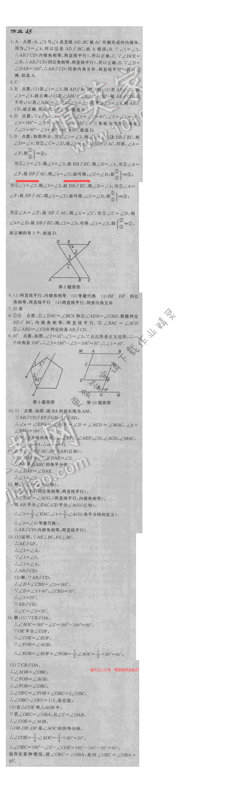 2017启东中学作业本七年级数学江苏版作业45答案