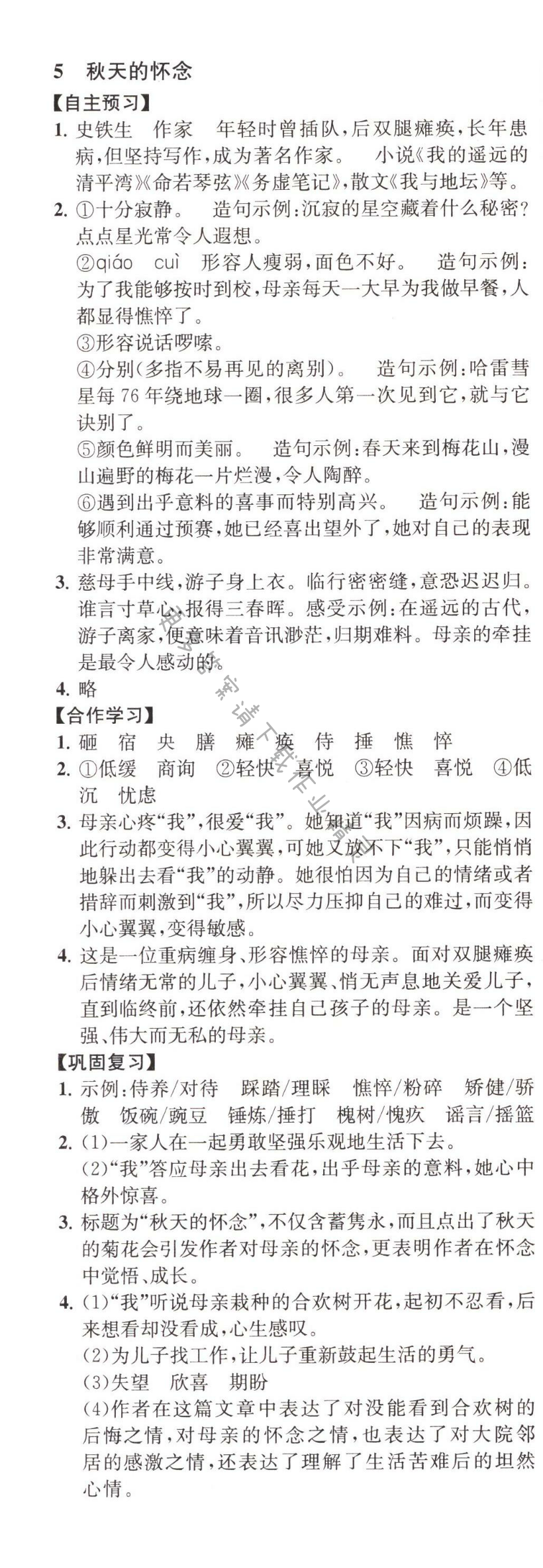 秋天的怀念自主学习与测评人教版