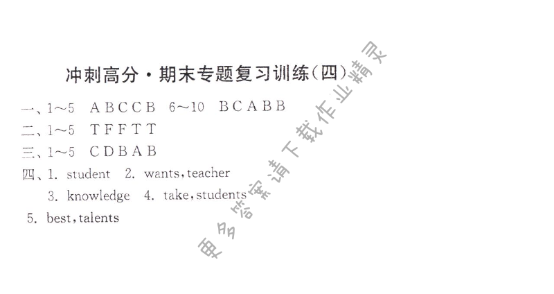冲刺高分 期末专题复习训练（四）