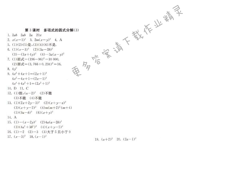 多项式的因式分解（3）