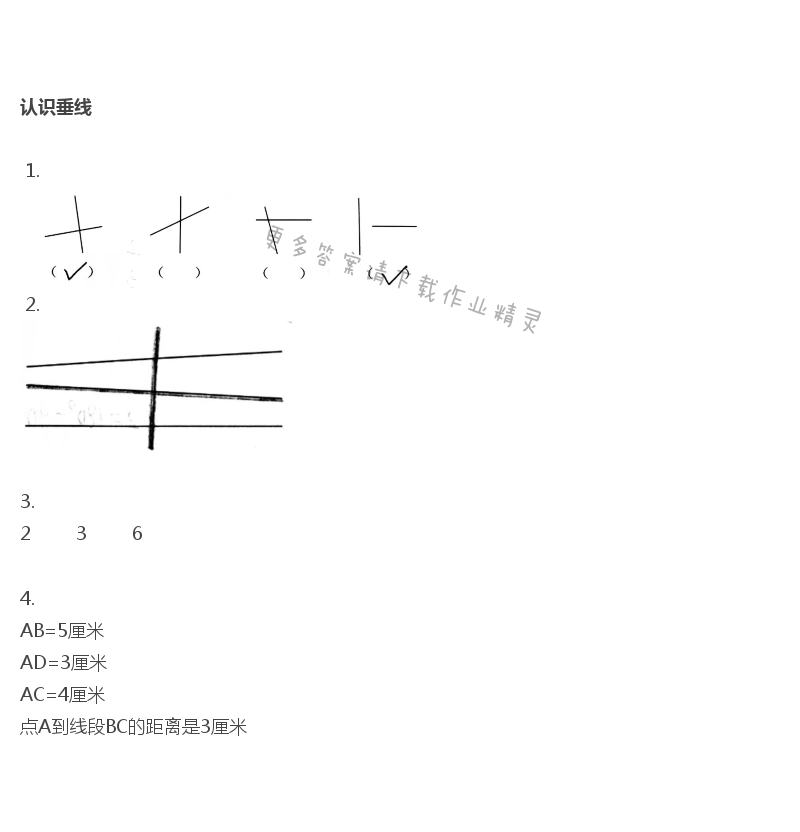 四年级上册数学补充习题第74页答案