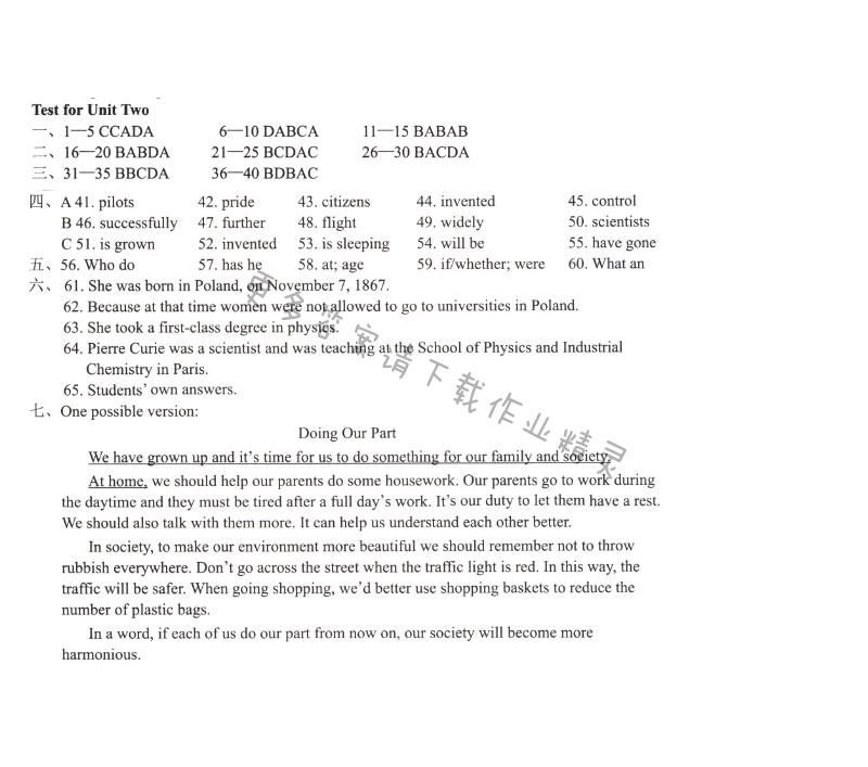 初三九年级下册英语Test for Unit 2学习与评价答案（配译林版）