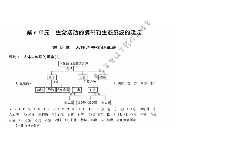 第15章课时1