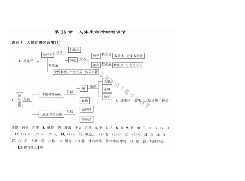 第16章课时5