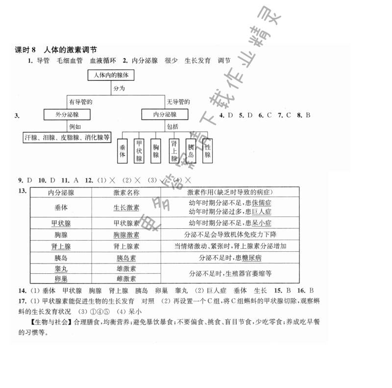 第16章课时8