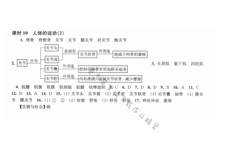 第17章课时10