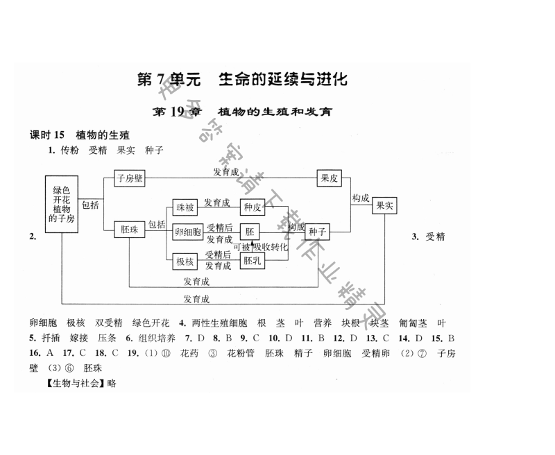 第19章课时15