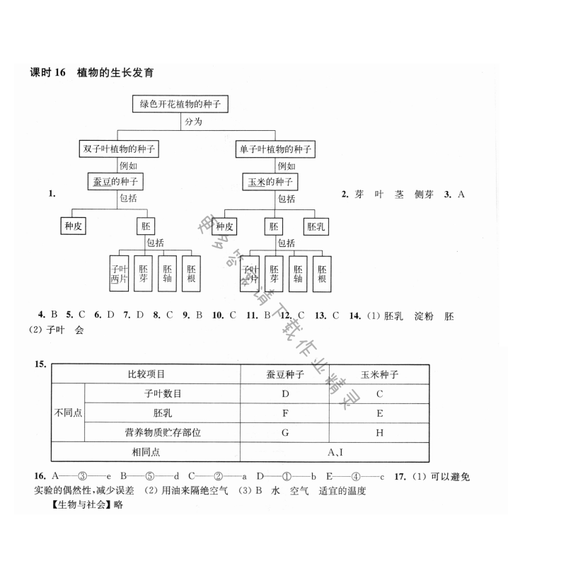 第19章课时16